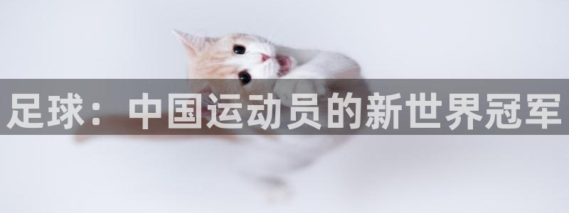 c666体育