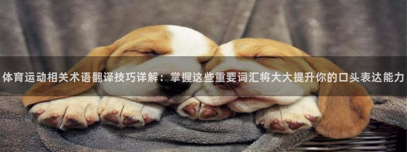 c666体育：体育运动相关术语翻译技巧详解：掌握这些重要词汇将大大提升你的口头表达能力