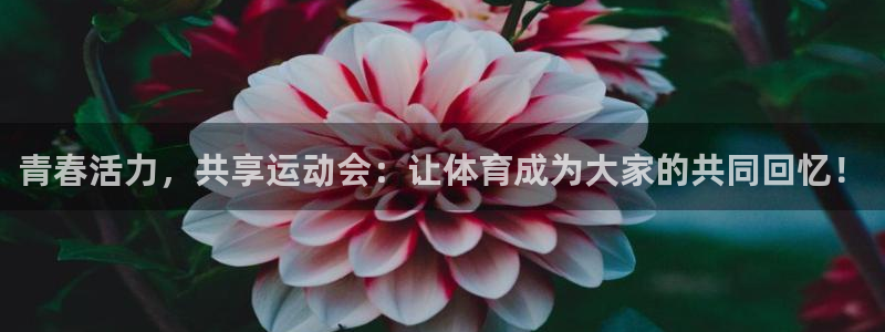v66体育官网入口