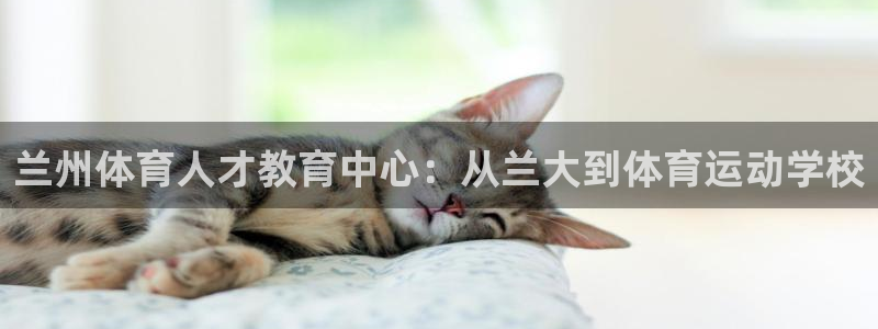 v66体育平台正规吗可靠吗