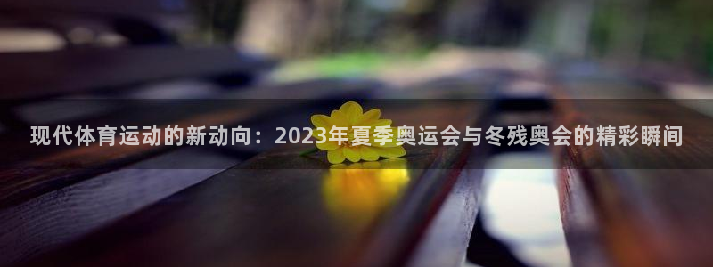 z66体育是怎么回事