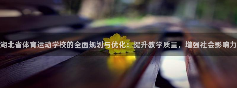66体育直播网