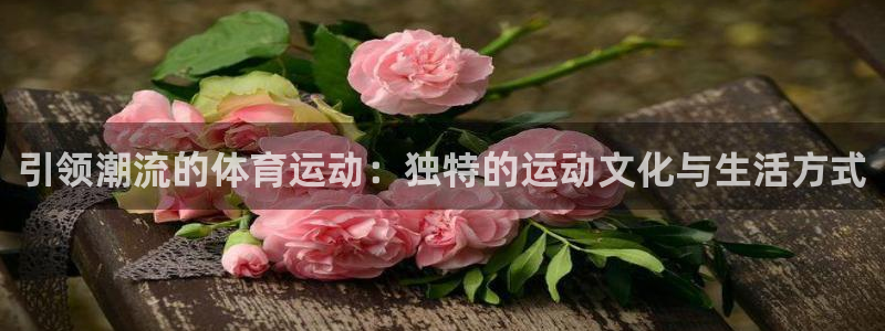 z66体育app下载
